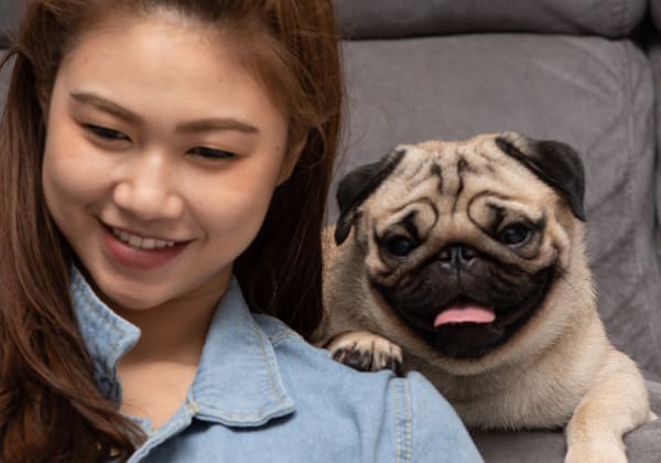 Specialists | Thornhill Veterinary Clinic | Thornhill Speciality & Emergency Vet