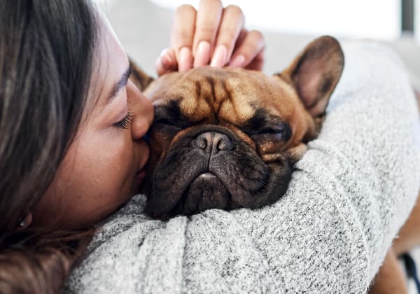 Specialists | Thornhill Veterinary Clinic | Thornhill Speciality & Emergency Vet