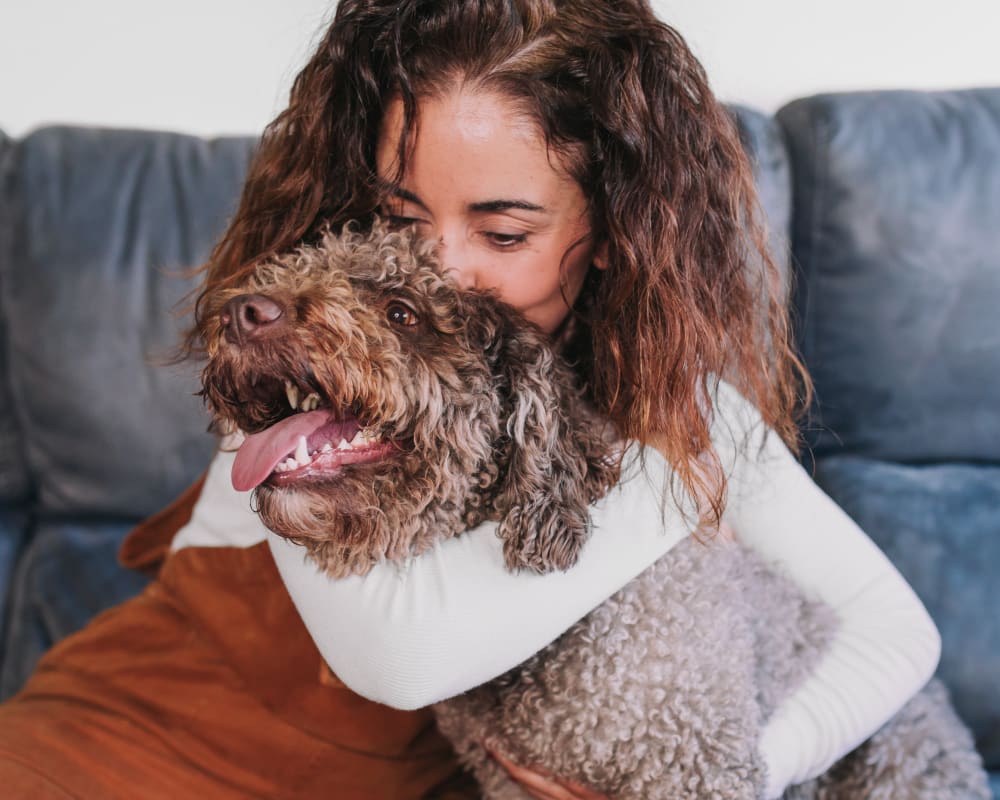 Thornhill Veterinary Clinic | Thornhill Speciality & Emergency Vet